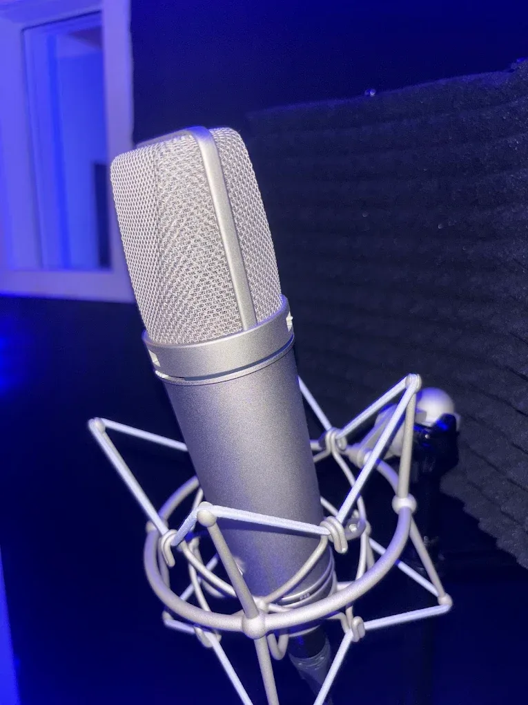 Professional studio microphone.